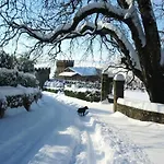 Castello Di Valenzano 酒店 *